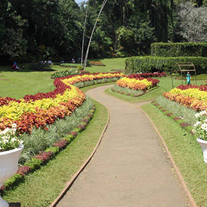 Victoria park Nuwara Eliya, Sri Lanka